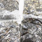 กระดุมแป๊กเหล็ก ขนาดหน้ากว้าง 10 mm (vt2) บรรจุ 1440 ชุด สีทองรมดำ รูป 2